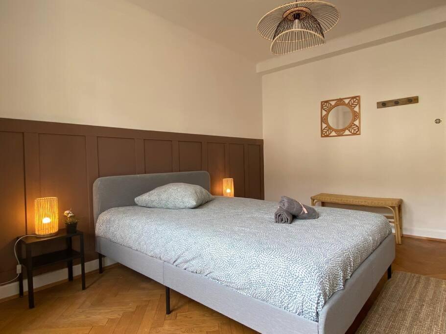 Appartement Charismatique Orangerie-10Min Parlement Eu-Wifi-Tv à Strasbourg Extérieur photo