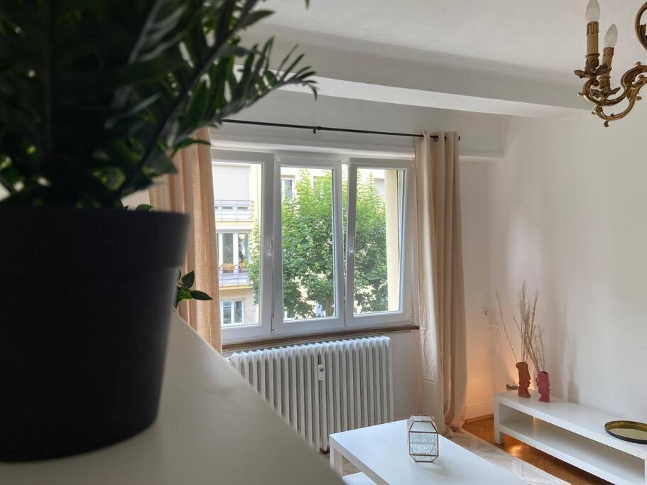 Appartement Charismatique Orangerie-10Min Parlement Eu-Wifi-Tv à Strasbourg Extérieur photo